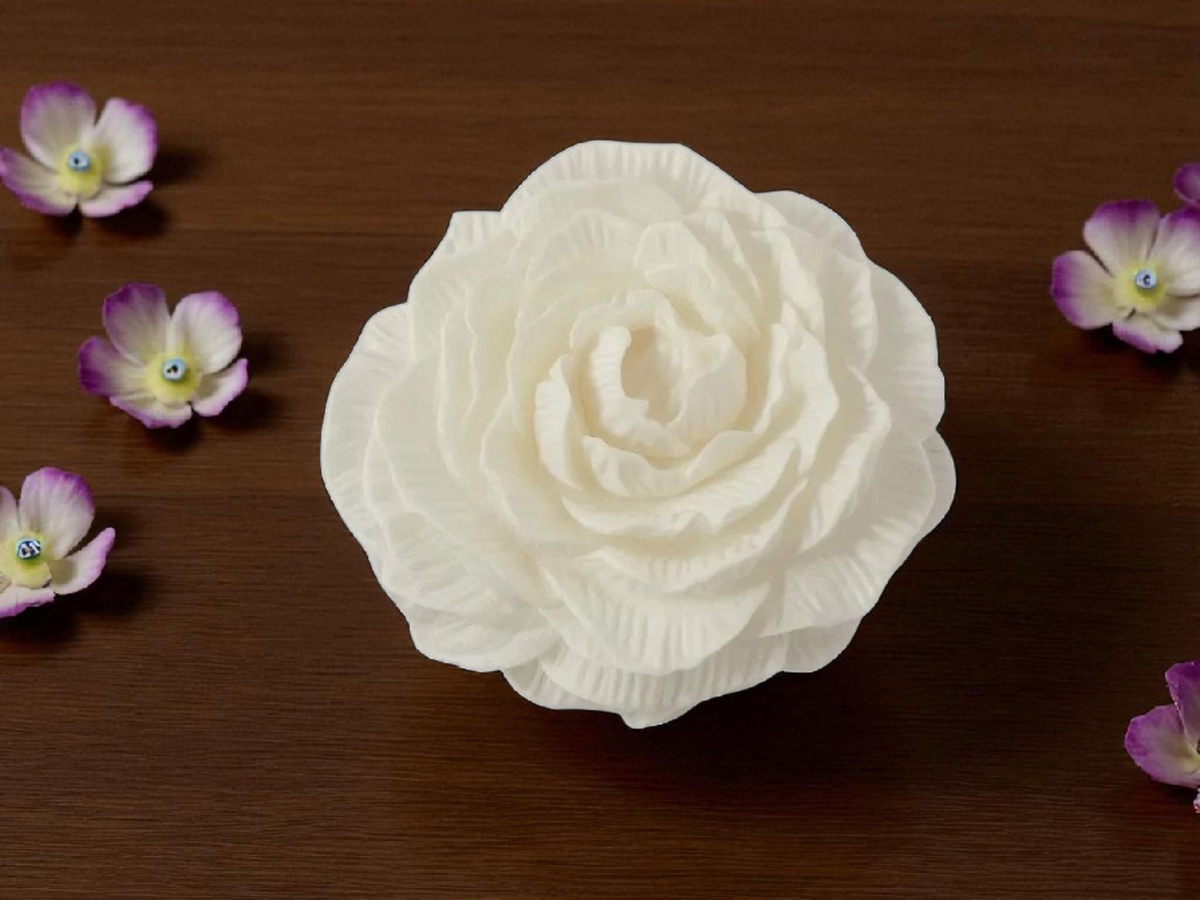 La pivoine XL