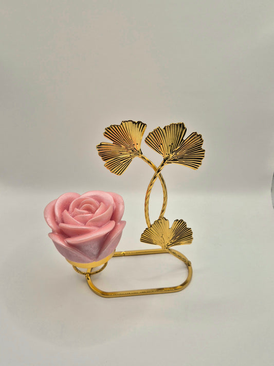 Rose parfumée sur support Rose ancienne