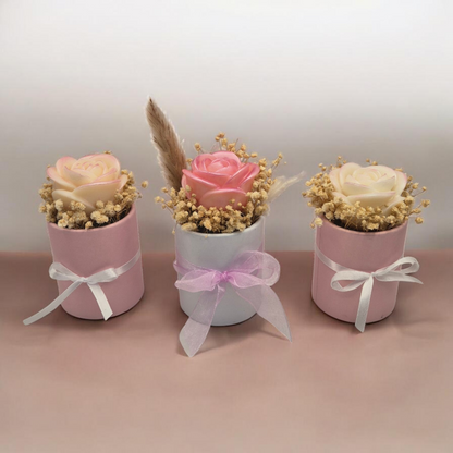 Trio de roses parfumées