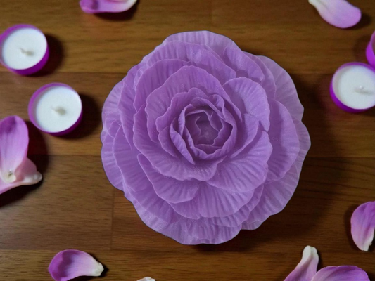La pivoine XL