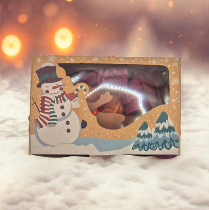 Lot de Sujets de Noël parfumés