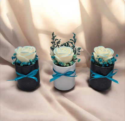 Trio roses et ourson parfumés