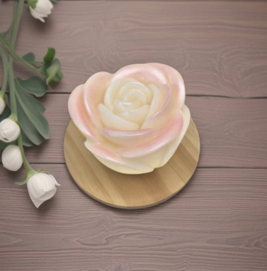Rose parfumée