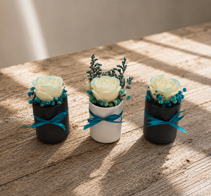 Trio roses et ourson parfumés